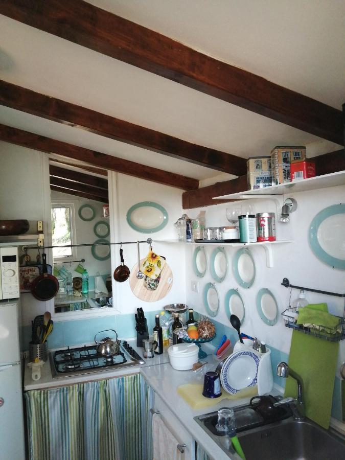 Cottage Sotto Il Faggio Centenario Ameno ภายนอก รูปภาพ